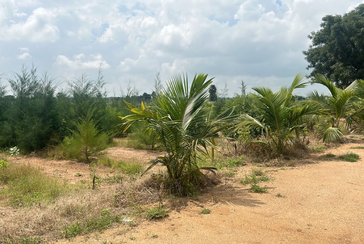 Open Plots in Hyderabad, Mareedpally for sale