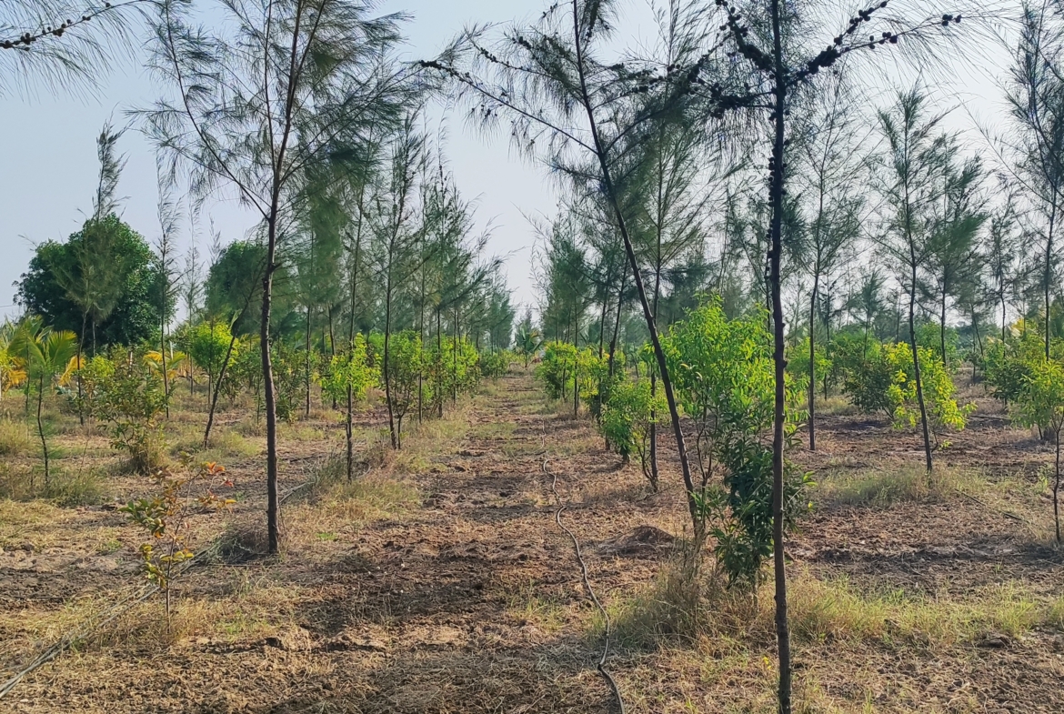 Open Plots in Hyderabad, Musheerabad for sale