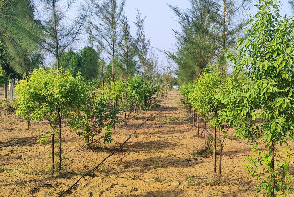 Open Plots in Hyderabad, Musheerabad for sale