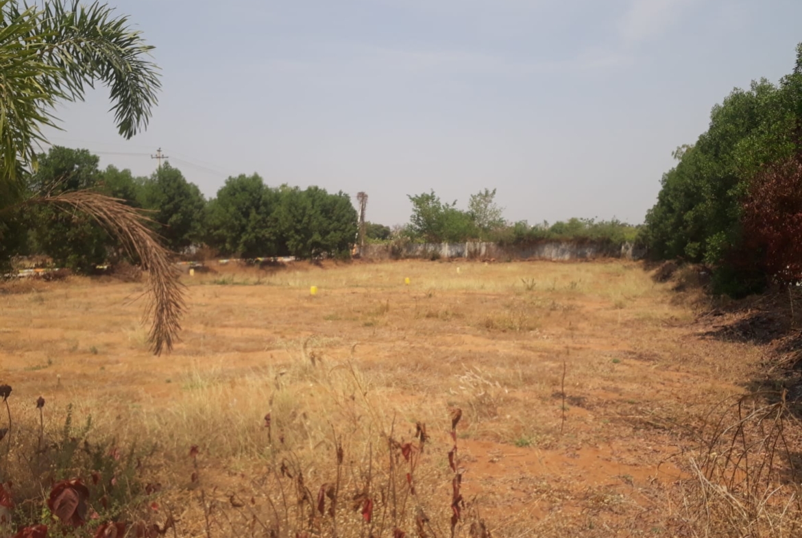 Open Plots in Sangareddy (hmda zone), Sangareddy (Urban) for sale