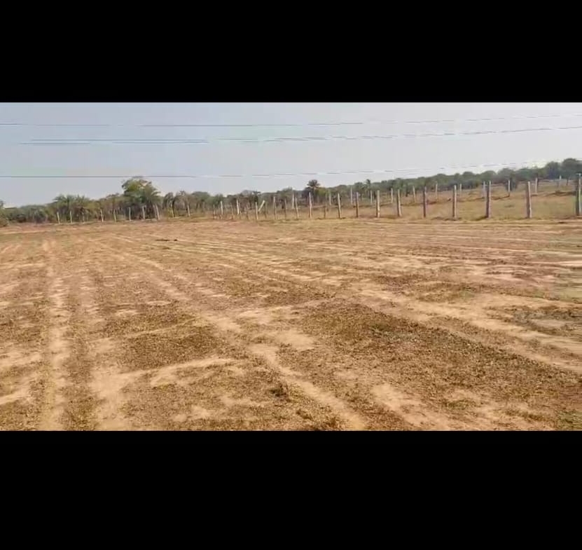 Agricultural Land in Ranga Reddy District, Talakondapally for sale