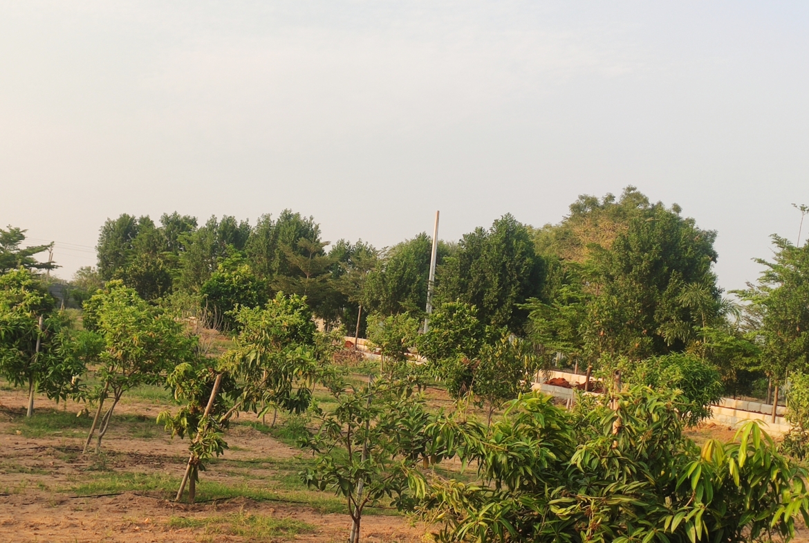 Open Plots in Ranga Reddy (hmda zone), Kandukur for sale