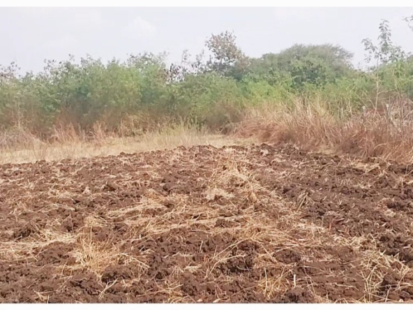 Agricultural Land in Ranga Reddy (hmda zone), Shankerpally for sale