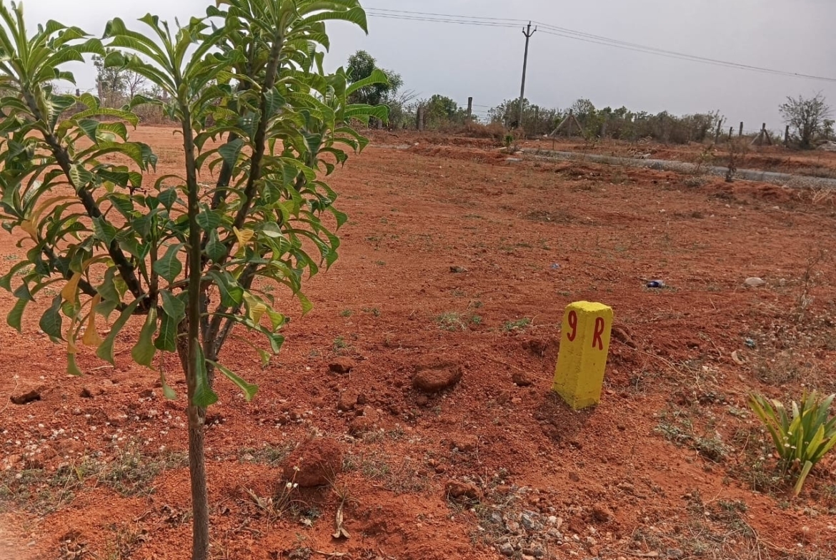 Open Plots in Ranga Reddy (hmda zone), Yacharam for sale